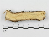 登錄號:F0015377藏品圖，第4張
