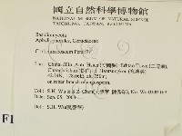 登錄號:F0015378藏品圖，第2張