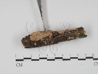 登錄號:F0015378藏品圖，第3張