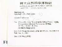 登錄號:F0015379藏品圖，第2張