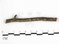 登錄號:F0015379藏品圖，第1張