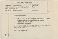 登錄號:F0015379藏品圖，第3張