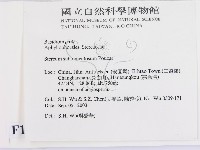 登錄號:F0015380藏品圖，第2張