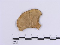 登錄號:F0015380藏品圖，第1張