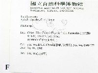 射脈菌屬藏品圖，第2張