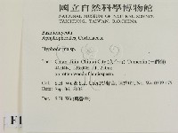 登錄號:F0015384藏品圖，第2張