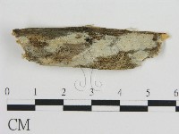 登錄號:F0015384藏品圖，第1張