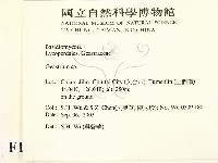 地星屬藏品圖，第2張