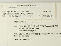 登錄號:F0015390藏品圖，第2張