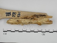 登錄號:F0015391藏品圖，第3張