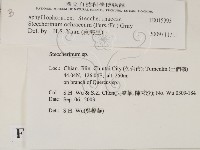 登錄號:F0015393藏品圖，第2張