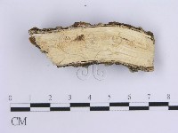 登錄號:F0015393藏品圖，第4張