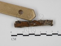 登錄號:F0015394藏品圖，第3張