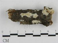 登錄號:F0015395藏品圖，第3張