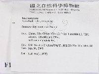 登錄號:F0015396藏品圖，第2張