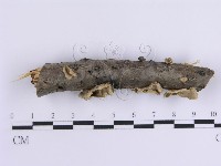 登錄號:F0015396藏品圖，第3張
