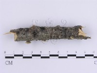 登錄號:F0015396藏品圖，第4張