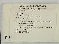 登錄號:F0015397藏品圖，第2張