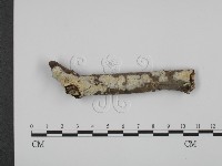 登錄號:F0015397藏品圖，第1張
