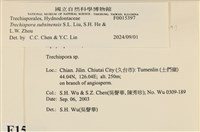 登錄號:F0015397藏品圖，第3張