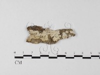 登錄號:F0015398藏品圖，第1張