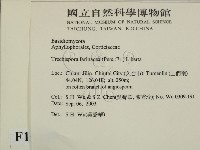登錄號:F0015399藏品圖，第2張