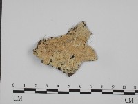 登錄號:F0015399藏品圖，第1張