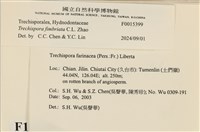 登錄號:F0015399藏品圖，第3張