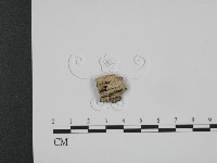 登錄號:F0015400藏品圖，第1張