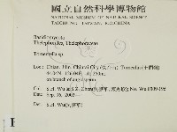登錄號:F0015404藏品圖，第2張