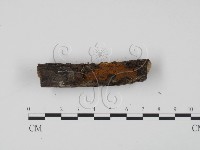 登錄號:F0015404藏品圖，第3張