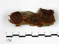 登錄號:F0015405藏品圖，第1張