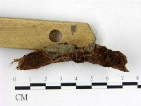 登錄號:F0015405藏品圖，第3張
