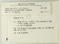 登錄號:F0015407藏品圖，第2張