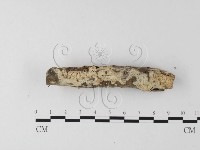 登錄號:F0015407藏品圖，第1張