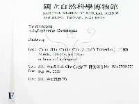 射脈菌屬藏品圖，第2張