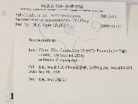 登錄號:F0015411藏品圖，第2張