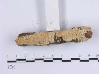 登錄號:F0015411藏品圖，第1張