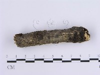 登錄號:F0015411藏品圖，第4張