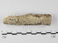 登錄號:F0015412藏品圖，第1張