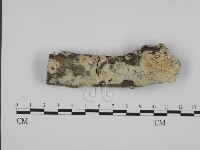 館號:F0015414藏品圖，第1張