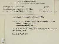 登錄號:F0015415藏品圖，第2張