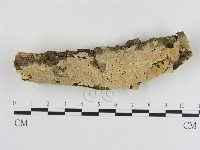 登錄號:F0015415藏品圖，第1張