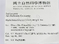 登錄號:F0015416藏品圖，第2張