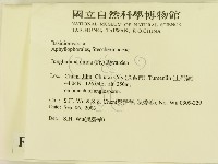 登錄號:F0015417藏品圖，第2張