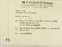 登錄號:F0015418藏品圖，第2張