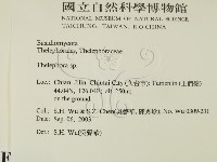 革菌屬藏品圖，第2張