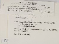 登錄號:F0015421藏品圖，第2張