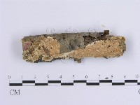 登錄號:F0015421藏品圖，第1張