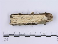 登錄號:F0015421藏品圖，第3張